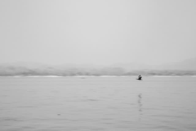 THE NOWHERE PEOPLE-09_Body_Leaky Arc .jpg-3