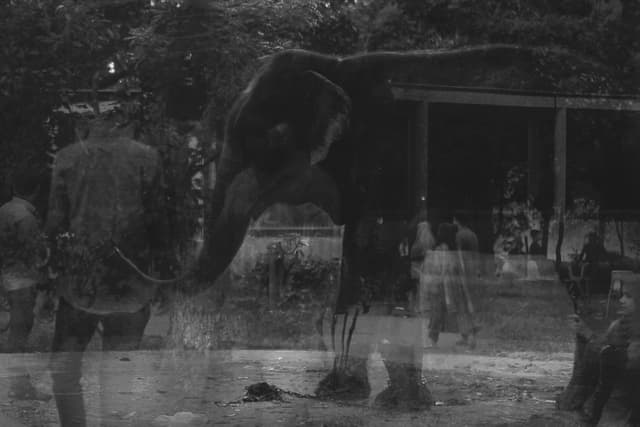 Reflections of Desolation:-10_Body Image_ArtistMakeSpace.jpg-7