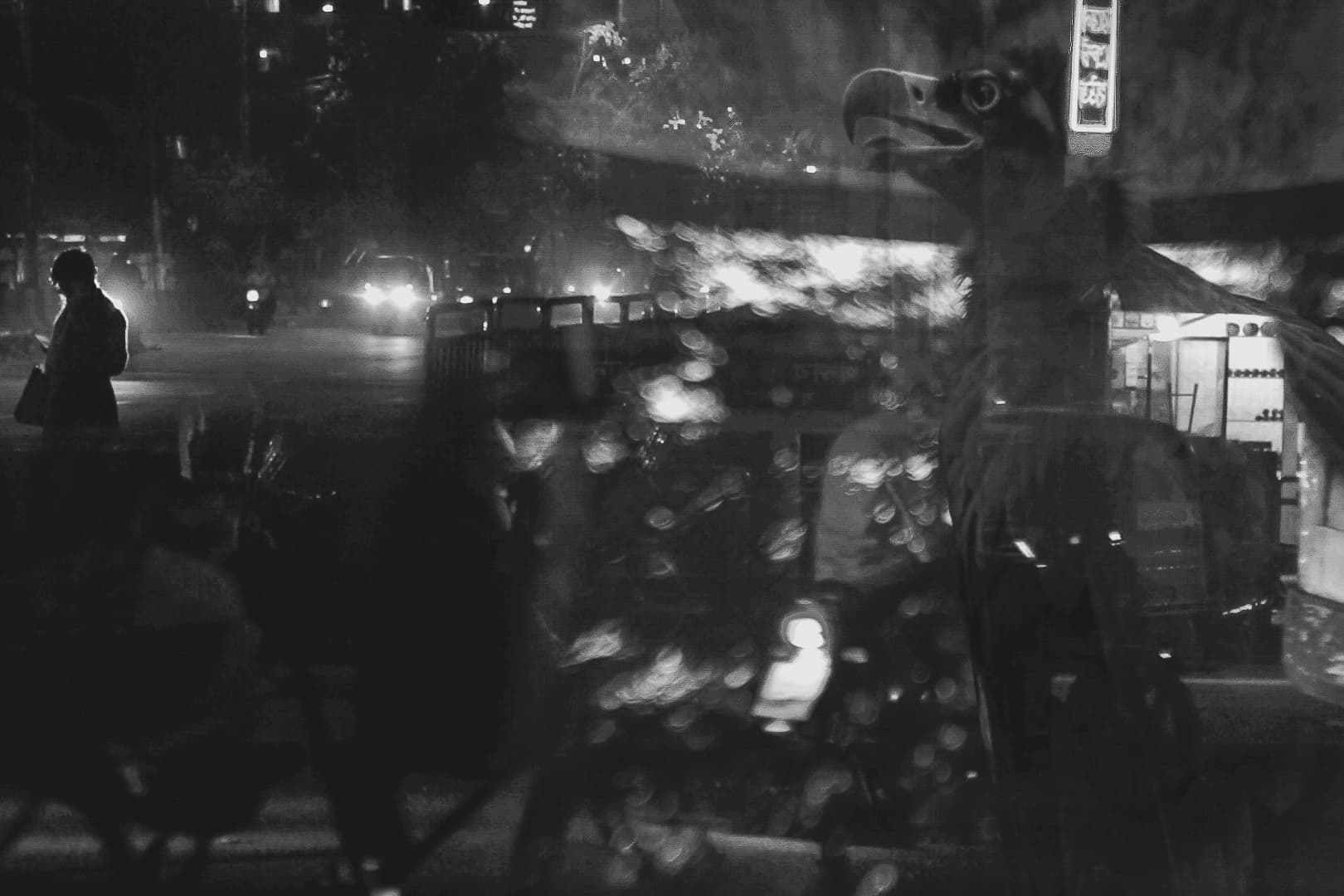 Slide Reflections of Desolation: